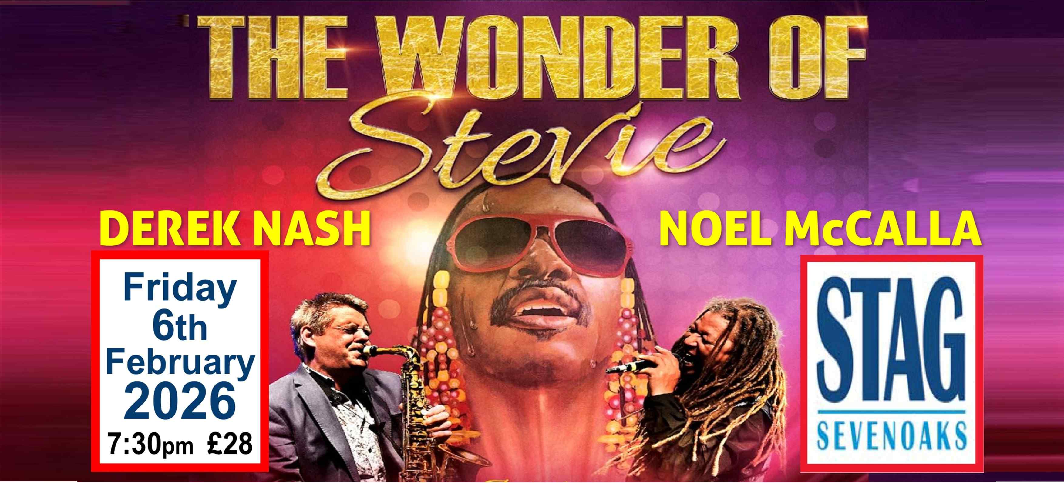 THE WONDER OF STEVIE AT THE STAG