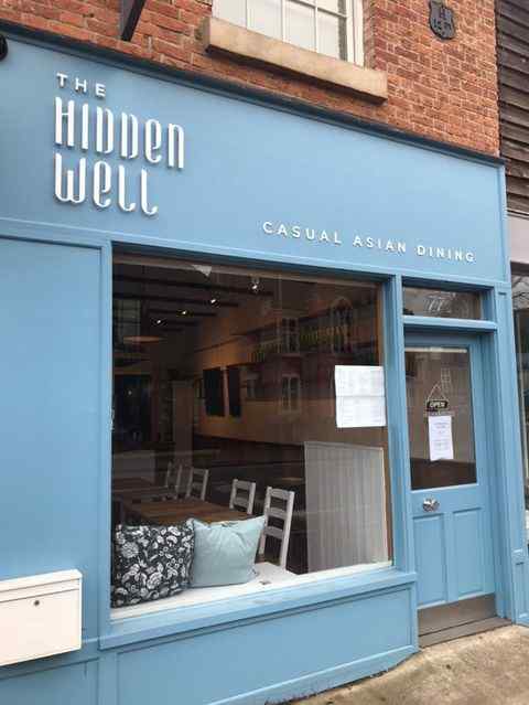 THE HIDDEN WELL logo
